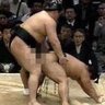 鹿乃つの界隈の人's profile picture