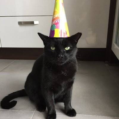 arthur's profile picture
