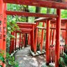 Фото профиля 神崎