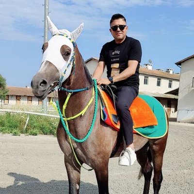Mahmut's profile picture