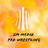 SM Media Pro Wrestling's profile picture