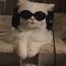 Profilbild von Ban