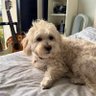 おむすびうめ子🍊's profile picture