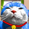 チハエル・キャットマン's profile picture