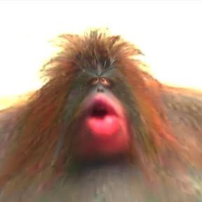 kracc bacc's profile picture
