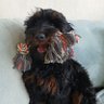 Simon's profile picture