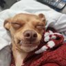 (Puttymaster)'s profile picture