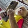 Profilbild von Panc02