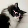 Profilbild von queentessela