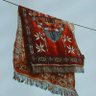 Фото профиля Rine