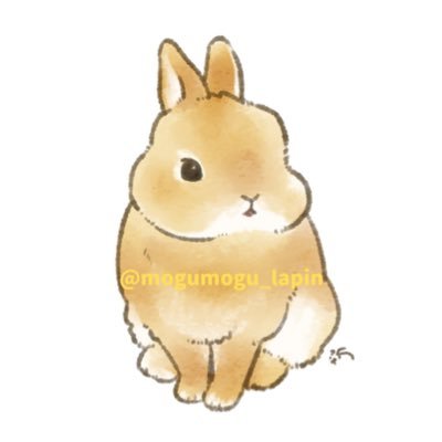 もぐ's profile picture