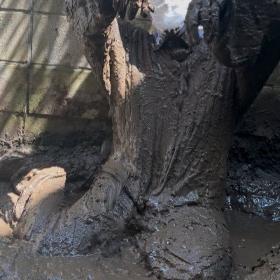 muddylove1026's profile picture