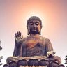 Buddhist Voluntarist 的头像