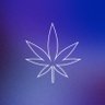 CZ 天 的头像