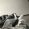粗顺茄汁 profil fotoğrafı