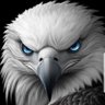 Alikka profil fotoğrafı