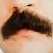 تیتان's profile picture