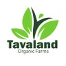 Фото профиля Tavaland Organic Farms