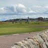 Jambogolfer profil fotoğrafı