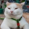ZeeAiNunew profil fotoğrafı