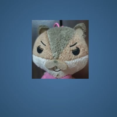llommll's profile picture