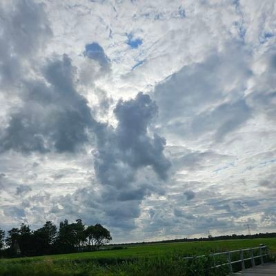 Madelindijk's profile picture