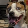 JayCee84's profile picture
