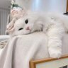 Selver profil fotoğrafı