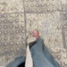 🥈”R” profil fotoğrafı