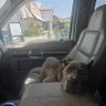 J profil fotoğrafı