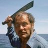 Profilbild von Quint's Revenge