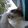 Khaled.'s profile picture