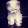 benjcnw's profile picture