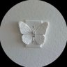 t__llll profil fotoğrafı