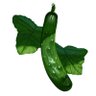 家庭菜園🥒 profil fotoğrafı