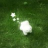miau⋆ ˚。⋆୨୧˚ profil fotoğrafı