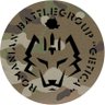 Profilbild von Romanian Battlegroup "Getica"