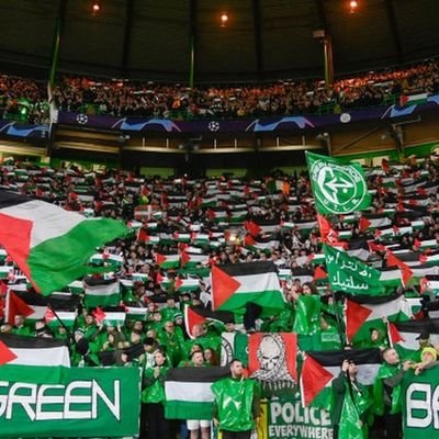 bayerninmunchen's profile picture