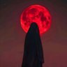 Pencarimakna's profile picture