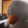 Фото профиля Sleepy goose