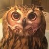 Profilbild von BigBallPatriot