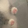 Profilbild von 雪 ตดในลิฟท์