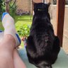 Фото профиля Andy who lives in basildon!🏴󠁧󠁢󠁥󠁮󠁧󠁿