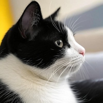 Za57eDbkwNUY5cm's profile picture