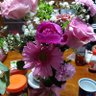 0・愚者 profil fotoğrafı