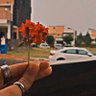 Катарына Зутиҥ 🇷🇸 的头像