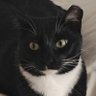 Bigfaddy76's profile picture