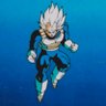 SSGVegeta profil fotoğrafı
