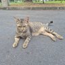 Фото профиля Ravo Solankovic