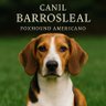 #Canil BarrosLeal 🐾 profil fotoğrafı